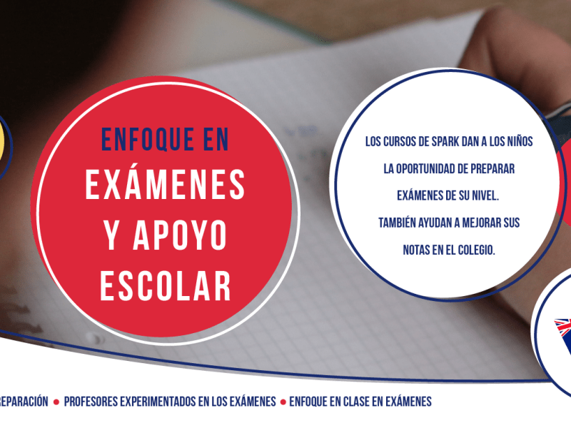 Enfoque en exámenes y apoyo&nbsp;escolar